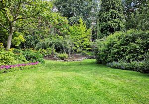 Optimiser l'expérience du jardin à Montpensier